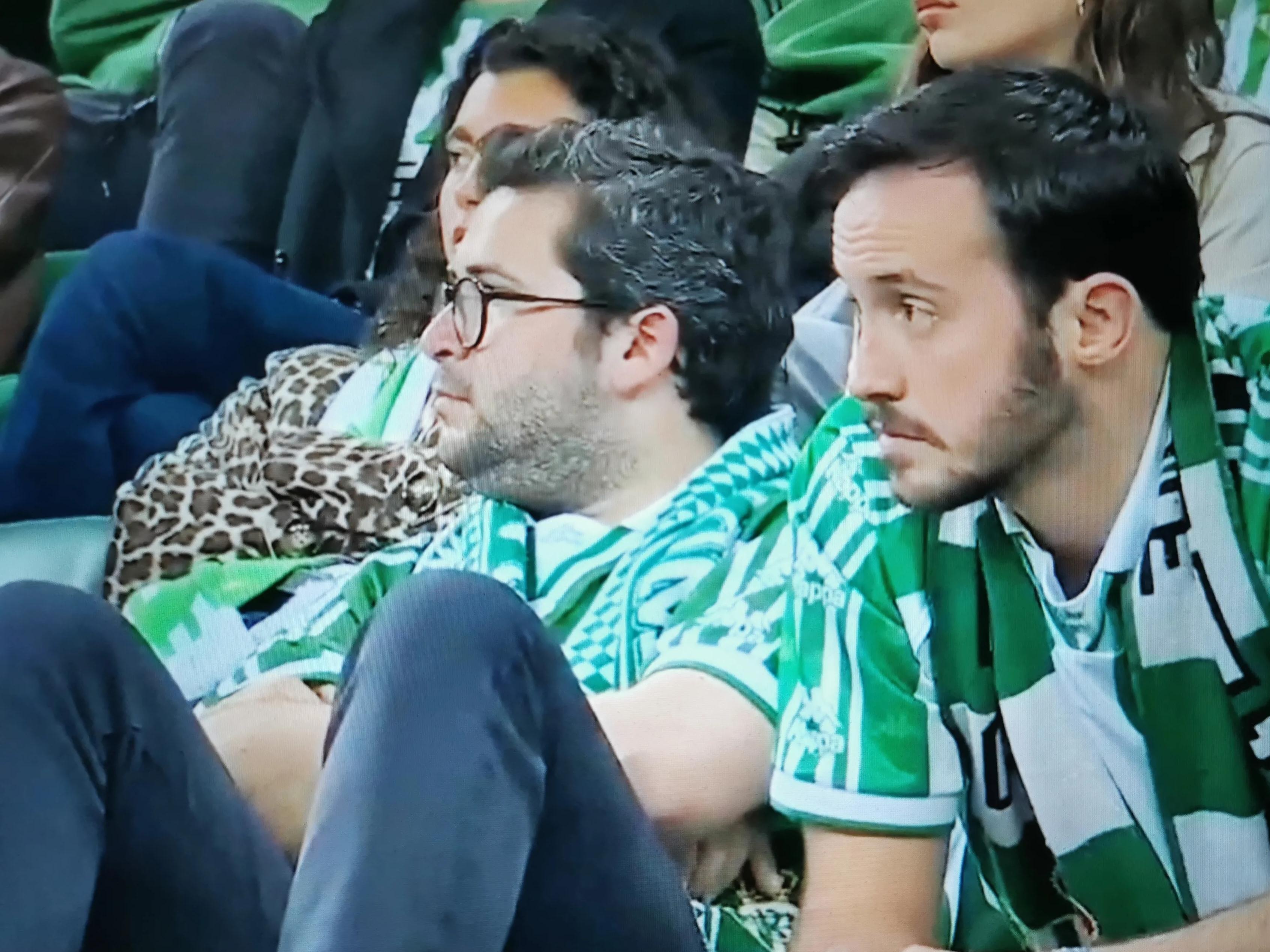 爱游戏入口-Ming迎来十五赛季出色发挥，切尔西观众热烈欢呼！赢得满堂喝彩(原版2345解梦在线)