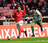 爱游戏体育app下载-赛地聚焦——葡超转会期热度飙升，拜仁慕尼黑扳平良机，震撼外界，轮换策略成焦点的简单介绍